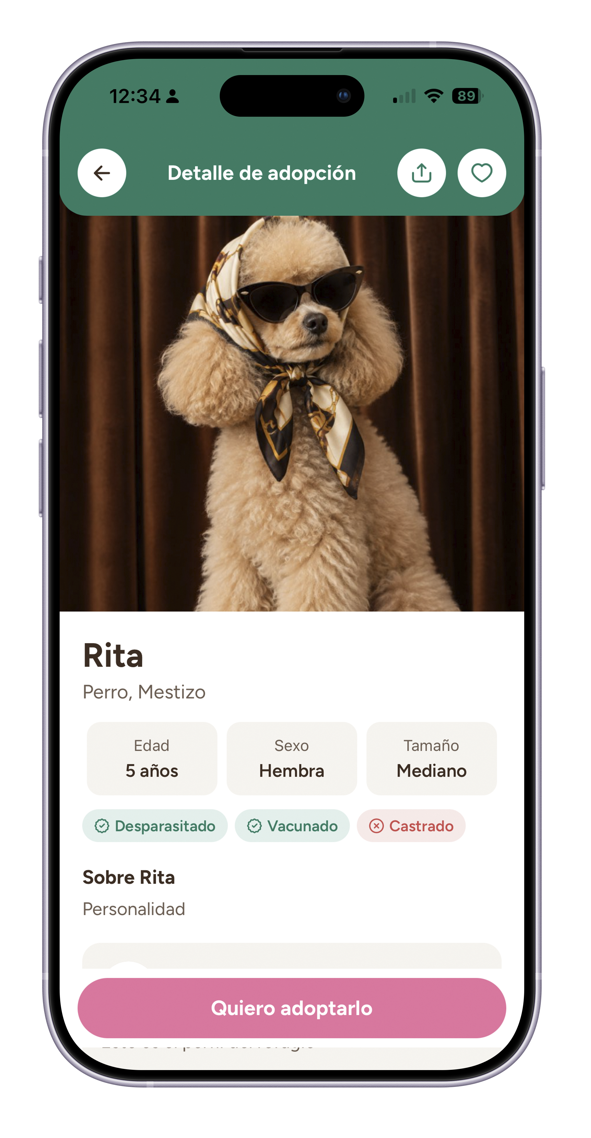 Ficha de una mascota en adopción publicada por un refugio en Amygo